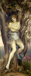 The Dryad